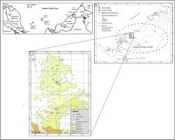 We did not find results for: Organic Geochemical And Petrographic Characteristics Of Tertiary Coals In The Northwest Sarawak Malaysia Implications For Palaeoenvironmental Conditions And Hydrocarbon Generation Potential Sciencedirect