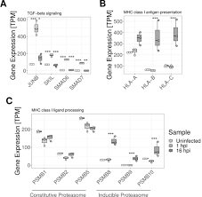 Marana mh, jørgensen lvg, skov j, chettri jk, holm mattsson a, dalsgaard i, et al. Bacteria Host Transcriptional Response During Endothelial Invasion By Staphylococcus Aureus Scientific Reports