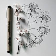 Art Tumblr Aesthetic Flowers Flower Drawing Flower Sketches Scientific Illustration