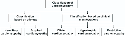 Image result for Restrictive Cardiomyopathy