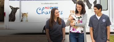 Spaying a dog or cat eliminates her heat cycle. Find A Low Cost Spay And Neuter Clinic Petsmart Charities
