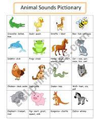 Animal Sounds Pictionary Esl Worksheet By Tesnimenasr