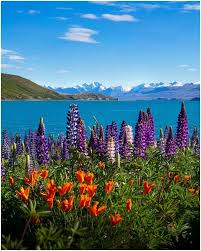 Reddit The Front Page Of The Internet In 2020 Lake Tekapo Norway Travel Landscape Photography