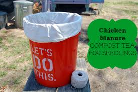 Maybe you would like to learn more about one of these? Chicken Manure Tea For Seedlings