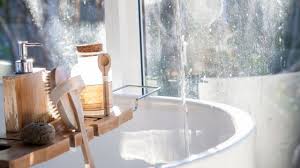 Prime minister boris johnson's decision to. Beauty And The Beast Plastic Free Bathroom Friends Of The Earth