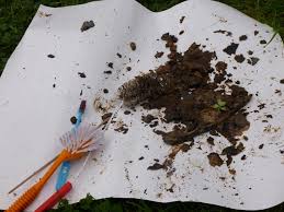 Image result for site:byggahus.se rensa avlopp