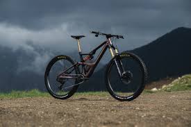 Image result for Orbea maculata