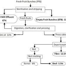 Through palm oil extraction process, we can make palm fruit into red palm oil and palm nut with fibers. Process Flow Diagram For Palm Oil Production 24 However The Download Scientific Diagram