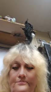 cheryl dowell (@cheryl.oldfashionlady)'s videos with Give into Me (feat.  Theuns Jordaan)