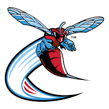 Ky_hornets_logo.gif ‎(32 × 32 pixels, file size: Hornet Vector Svg Logo Download On Logowiki Net