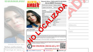 Por qué se desactivó la Alerta Amber de Andrea Jocelyn Ibarra Durán si  sigue desaparecida?
