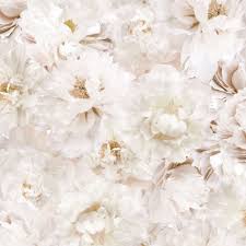 Maybe you would like to learn more about one of these? Beige Flower Wallpapers Top Free Beige Flower Backgrounds Wallpaperaccess