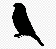Finch Clip Art Sitting Bird Silhouette Png Transparent Png 5278566 Pinclipart Your new design or pattern can be printed or downloaded in png, jpg, pdf, or svg (scalable. sitting bird silhouette png transparent