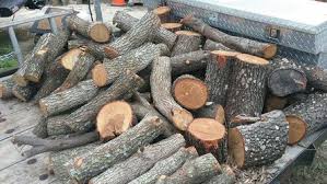 Chicago's #1 cooking wood source with a large selection of bbq wood flavors. Need Firewood I Have Oak Mesquite And Pecan Wood Will Fix You Whatever Amount You Want For Sale In San Antonio Tx Offerup