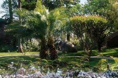 Jardin Botanique Val Rahmeh Menton Jardin Botanique Jardins Botanique
