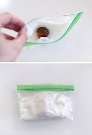 A seedling or germ forms from which roots will emerge, helping the baby plant absorb nutrients from the soil. Growing An Avocado Plant From Seed Delineate Your Dwelling