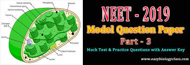 Neet Exam 2019 Model Paper Model Question Paper Question Paper Neet Exam