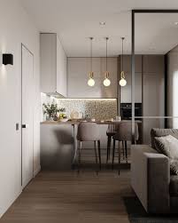Fabulous Small Apartment Kitchen Decoration Ideas Small Apartment Interior Modern Kitchen Interiors Small Apartment Layout