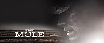 Accanto a me, solo un piccolo tavolo quadrato era occupato da due ragazze. Il Corriere The Mule Arriva In Home Video Il Film Di Clint Eastwood