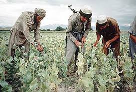Maybe you would like to learn more about one of these? Ø¹Ø¯Ù… Ø§Ù…Ù†ÛŒØª Ø¯Ù„ÛŒÙ„ Ø§ÙØ²Ø§ÛŒØ´ Ú©Ø´Øª Ú©ÙˆÚ©Ù†Ø§Ø± Ø¯Ø± ÙˆÙ„Ø§ÛŒØª Ø³Ø±Ù¾Ù„ Ø®Ø¨Ø±Ú¯Ø²Ø§Ø±ÛŒ Ø´ÛŒØ¹ÛŒØ§Ù† Ø§ÙØºØ§Ù†Ø³ØªØ§Ù† Afghanistan Shia News Agency