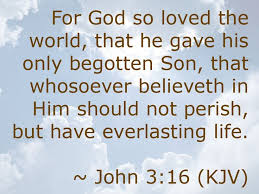 Image result for john 3:16 kjv