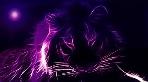 Neon Purple Wallpapers Top Free Neon Purple Backgrounds Wallpaperaccess