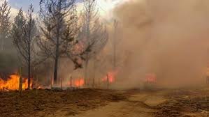 Bienvenidos a nuestro sitio en internet! Incendio En El Bolson Allanan La Vivienda De Sospechoso De Iniciar El Fuego Telefe Noticias