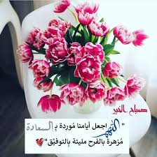 Pin By زهرة البنفسج On صور Morning Images Good Morning Images Good Morning Messages