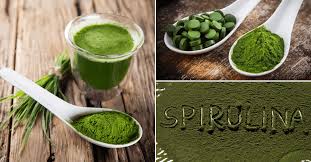spirulina its effects on health and use