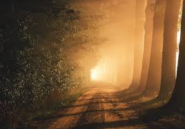 Let There Be Light Bellator Society