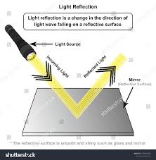 Light Reflection Infographic Diagram With Example Of Light Source Where Incoming Rays Reflected On A Smo Light Reflection Photography Business Cards Light Wave