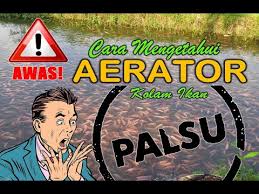 Jangan Salah Pilih Cara Mengetahui Aerator Kolam Ikan Kw Atau Palsu Youtube