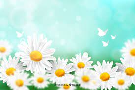 Check spelling or type a new query. Free Daisy Background Vectors 2 000 Images In Ai Eps Format