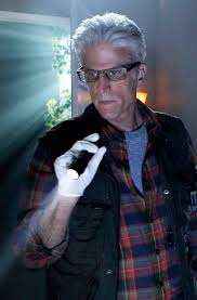 He returned to the show in a 2018 episode as well. For Csi House Law Order Svu Risky Transitions The New York Times