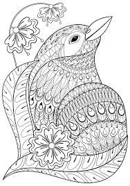 Be sure to visit many of the other beautiful animals coloring pages aswell we have a very. Zentangle Exotic Bird In Flowers Hand Drawn Ethnic Animal For A Stock Vector Illustration Of Background Monochrome 77313839