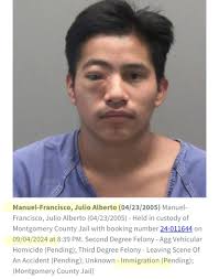 ℒ𝒶𝓊𝓇𝒶ꨄ