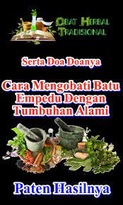 Penyakit batu karang hempedu adalah masalah yang sering dihadapi penduduk malaysia. Cara Mengobati Batu Empedu Alami Dan Tradisional Para Android Apk Baixar