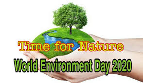 It is celebrated each year on the 5th of june throughout the world. World Environment Day 2021 Theme And Host Country World Environment Day 2021
