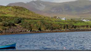 Whimsical Words From the Attic