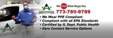 Chicago pest control is the top choice for chicago pest control & extermination. Pest Control Experts Of Chicago Chicago S Pest Control Offers Emergency Pest Control For Chicago And Surrounding Suburbs