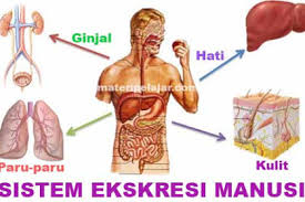 Kunci jawaban ips kelas 8 halaman 78 esai guru ilmu sosial. All Posts Basbahanajar Com