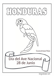 Maybe you would like to learn more about one of these? Colorear Dia Del Ave Nacional De Honduras 28 De Junio Colorear Dibujos Infantiles