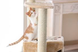 One of a cat's many needs is to continuously 'sharpen' their claws, so they can let the outer, more worn out sheaths of … The 25 Best Cat Scratchers Of 2020 Cat Life Today
