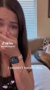 Mr.Tony (@tony.tamer)