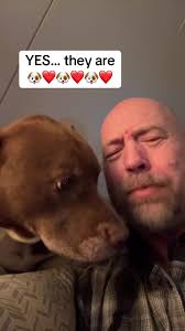 #stitch with @Maddie & Rudder