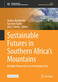 Andrea Membretti Sue Jean Taylor Jess L. Delves Editors Multiple  Perspectives on an Emerging City