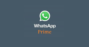 You will find that users always mute auto update of apps in the play store, but the same option for whatsapp is. Download Whatsapp Prime Apk Terbaru Update 2020 Anti Banned Andronezia