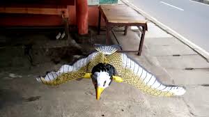 Check spelling or type a new query. Cara Menggambar Kepala Burung Elang Bagian 97 By Ujung Jari