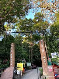 Hutan hujan tropika di semenanjung malaysia adalah merupakan salah satu ekosistem yang sangat kompleks di dunia. Hiking Bukit Batu Putih Tanjung Tuan Pd Azyyati Liah