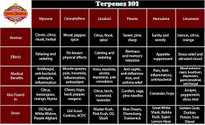 A Terpene For Everyone Maximizing Your Cannabis Experience